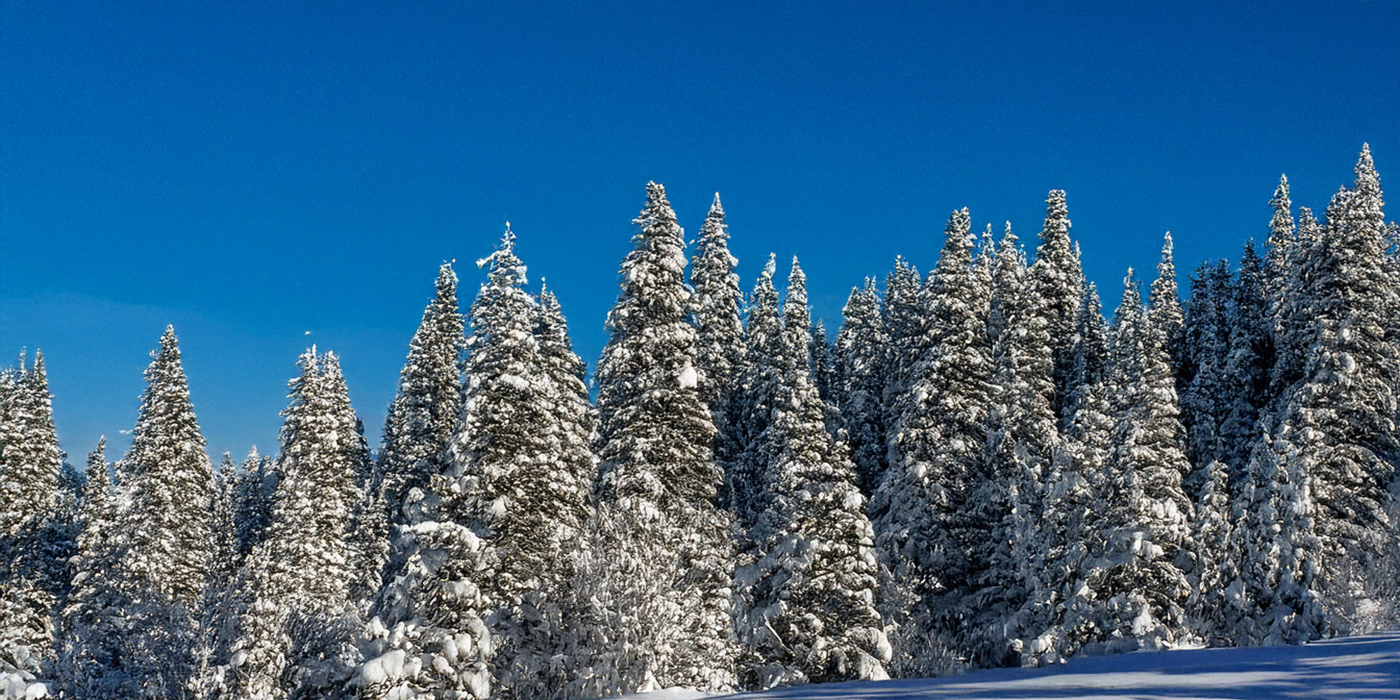 Tremblant Ski & Snowboard Season Opening 2025/26Event: Opening Day